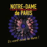 Notre Dame de Paris, comédie Musicale 2019