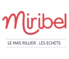 Commune de Miribel - Ain 01